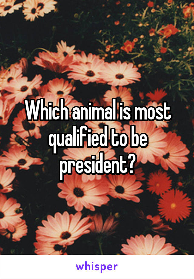 Which animal is most qualified to be president?