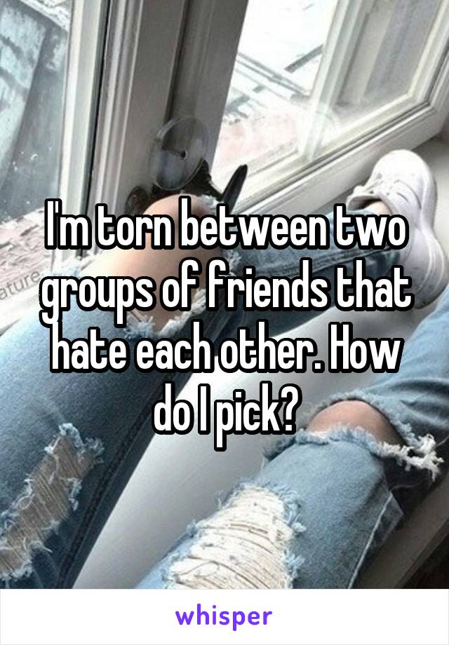 I'm torn between two groups of friends that hate each other. How do I pick?