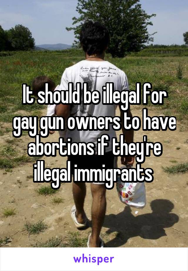 It should be illegal for gay gun owners to have abortions if they're illegal immigrants 