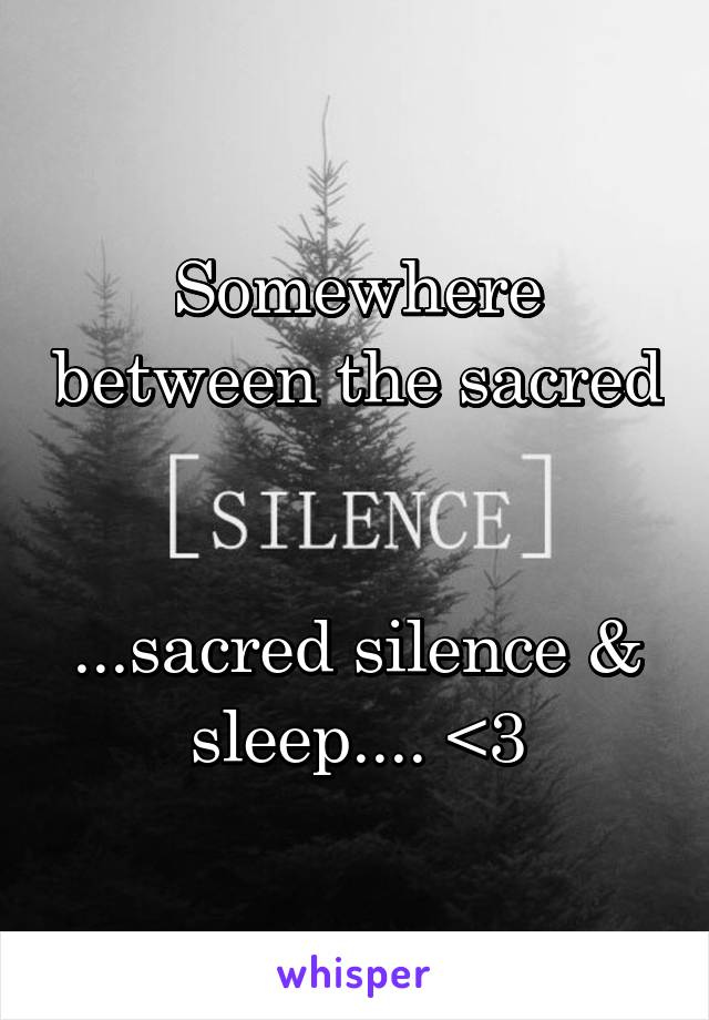 Somewhere between the sacred 

...sacred silence & sleep.... <3