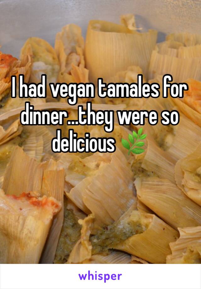I had vegan tamales for dinner...they were so delicious 🌿 