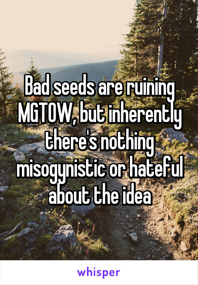 Bad seeds are ruining MGTOW, but inherently there's nothing misogynistic or hateful about the idea