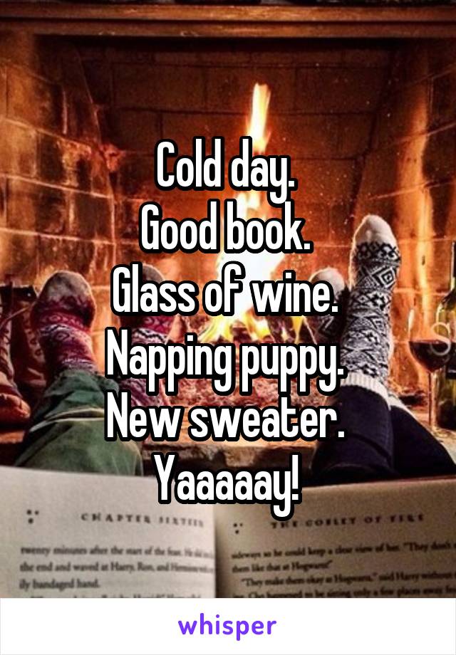 Cold day. 
Good book. 
Glass of wine. 
Napping puppy. 
New sweater. 
Yaaaaay! 