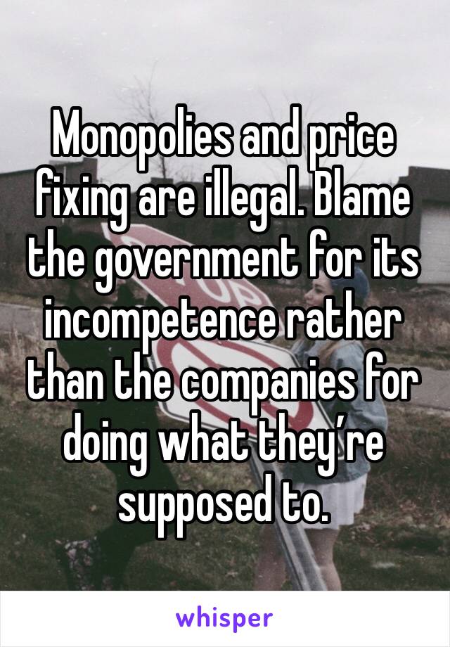 Monopolies and price fixing are illegal. Blame the government for its incompetence rather than the companies for doing what they’re supposed to.