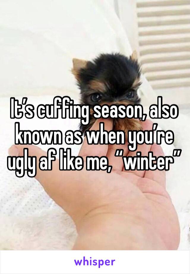 It’s cuffing season, also known as when you’re ugly af like me, “winter”