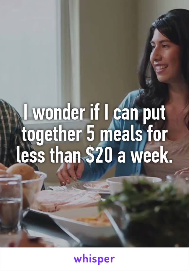 I wonder if I can put together 5 meals for less than $20 a week.
