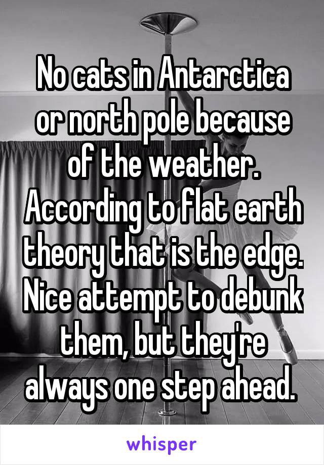 No cats in Antarctica or north pole because of the weather. According to flat earth theory that is the edge. Nice attempt to debunk them, but they're always one step ahead. 