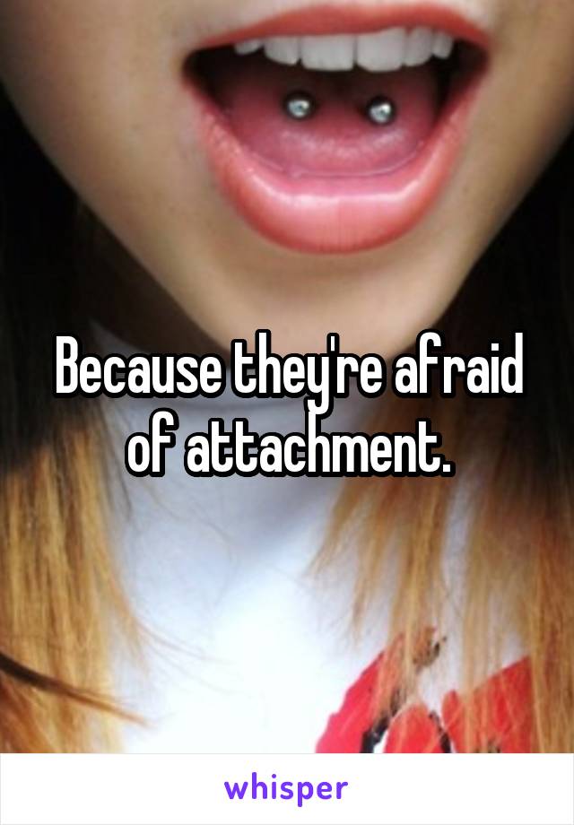 Because they're afraid of attachment.
