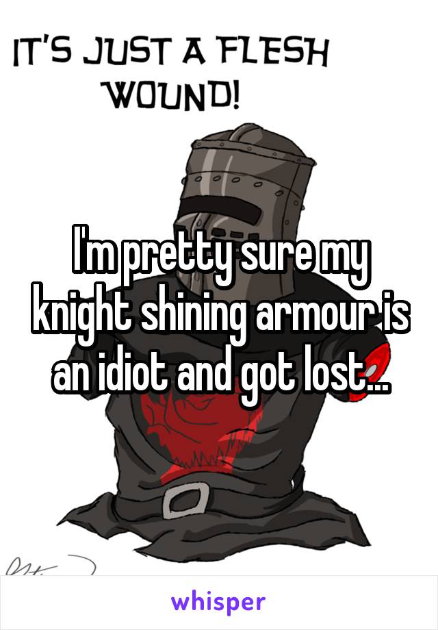 I'm pretty sure my knight shining armour is an idiot and got lost...
