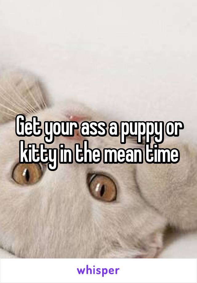 Get your ass a puppy or kitty in the mean time