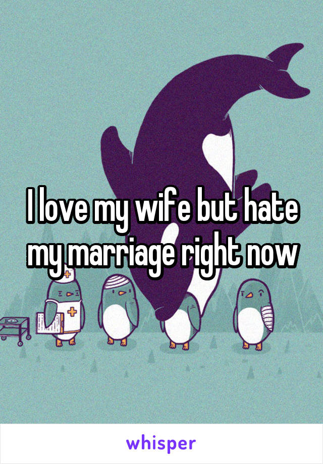 I love my wife but hate my marriage right now