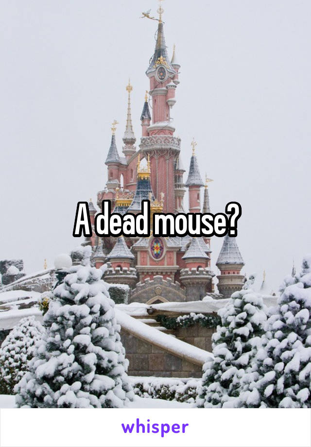 A dead mouse?