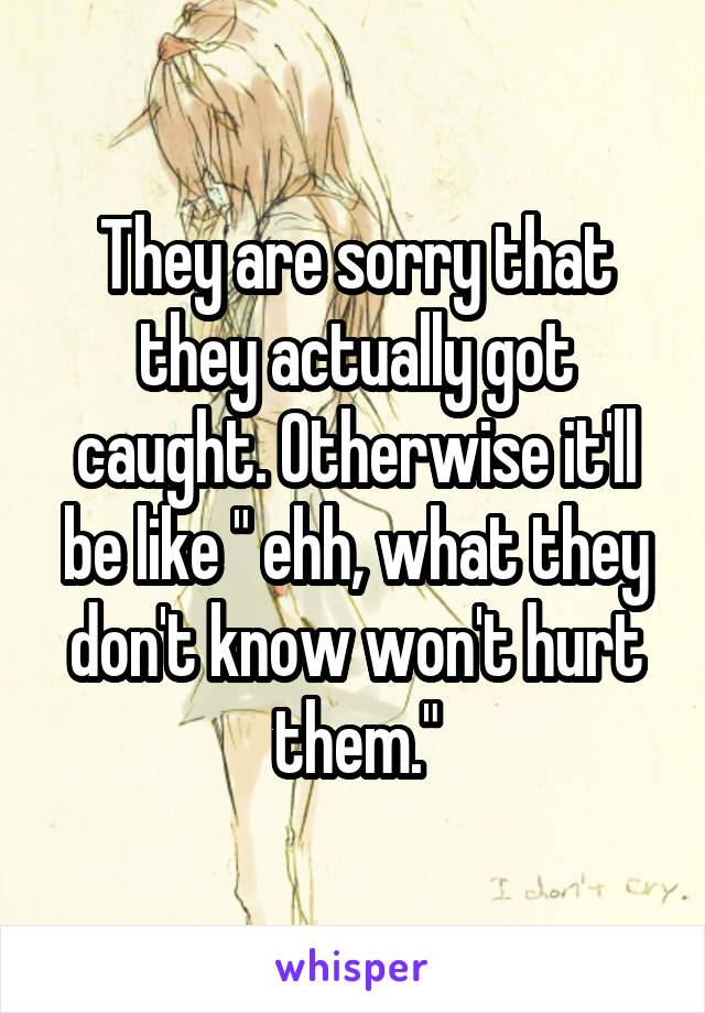 They are sorry that they actually got caught. Otherwise it'll be like " ehh, what they don't know won't hurt them."