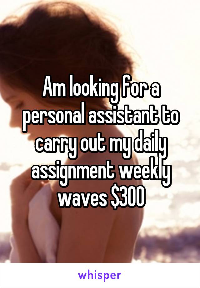 Am looking for a personal assistant to carry out my daily assignment weekly waves $300