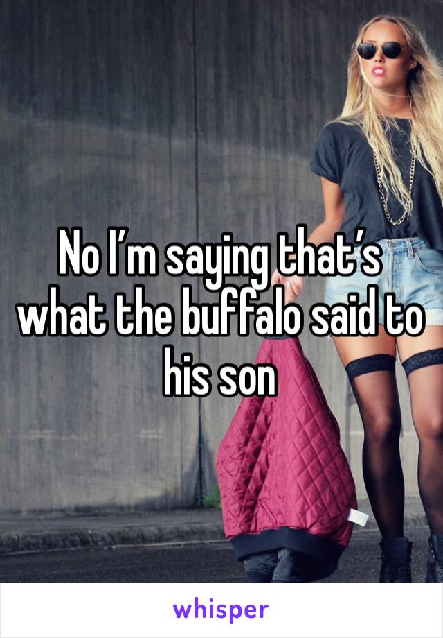 No I’m saying that’s what the buffalo said to his son 