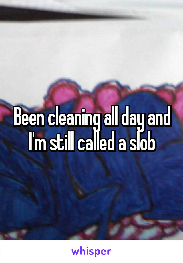 Been cleaning all day and I'm still called a slob