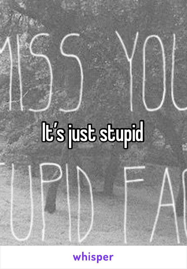 It’s just stupid 
