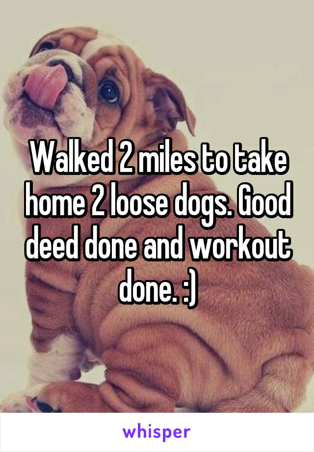Walked 2 miles to take home 2 loose dogs. Good deed done and workout done. :)