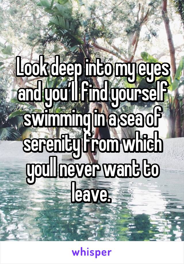 Look deep into my eyes and you’ll find yourself swimming in a sea of serenity from which youll never want to leave. 