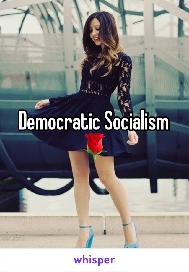Democratic Socialism
🌹