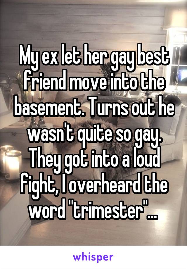 My ex let her gay best friend move into the basement. Turns out he wasn't quite so gay. They got into a loud fight, I overheard the word "trimester"... 