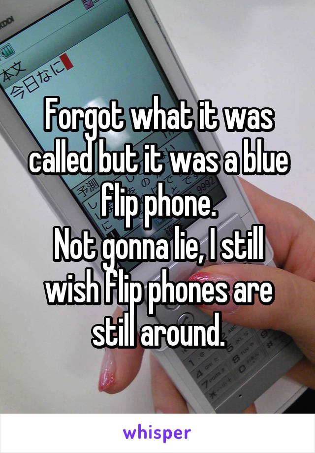 Forgot what it was called but it was a blue flip phone.
Not gonna lie, I still wish flip phones are still around.