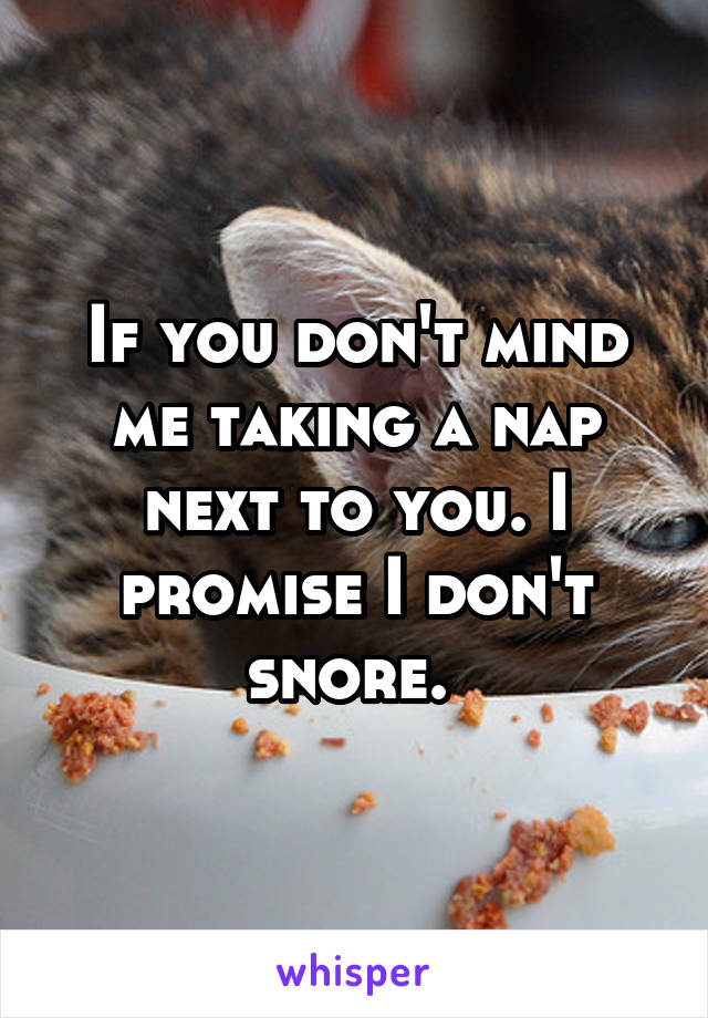 If you don't mind me taking a nap next to you. I promise I don't snore. 