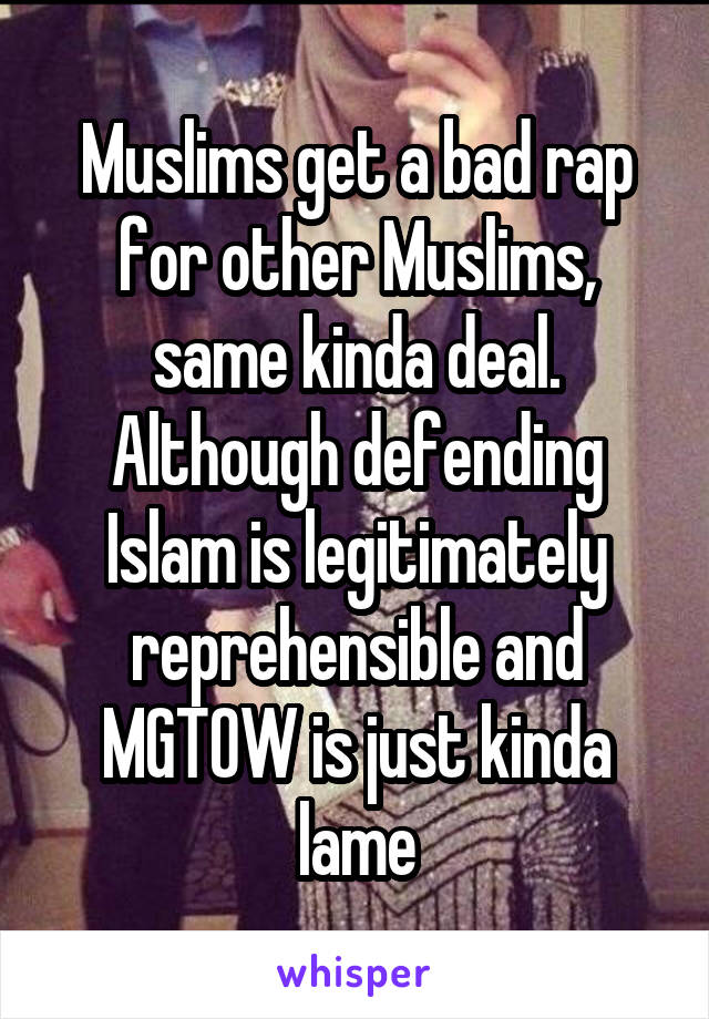 Muslims get a bad rap for other Muslims, same kinda deal. Although defending Islam is legitimately reprehensible and MGTOW is just kinda lame