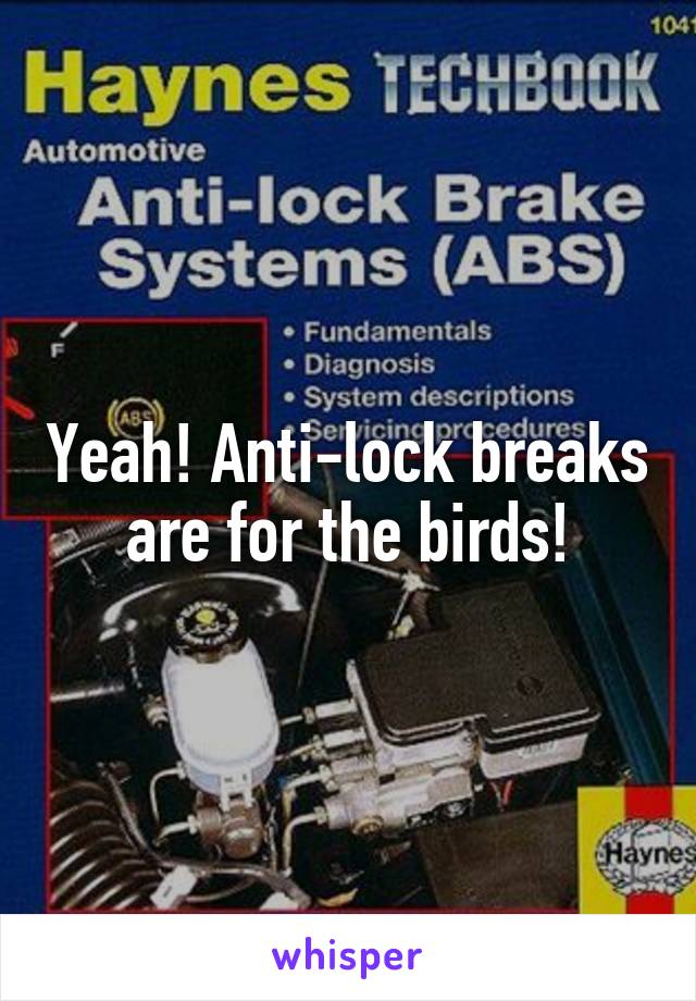 Yeah! Anti-lock breaks are for the birds!