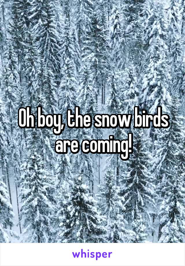 Oh boy, the snow birds are coming!