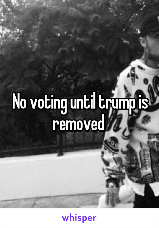 No voting until trump is removed 