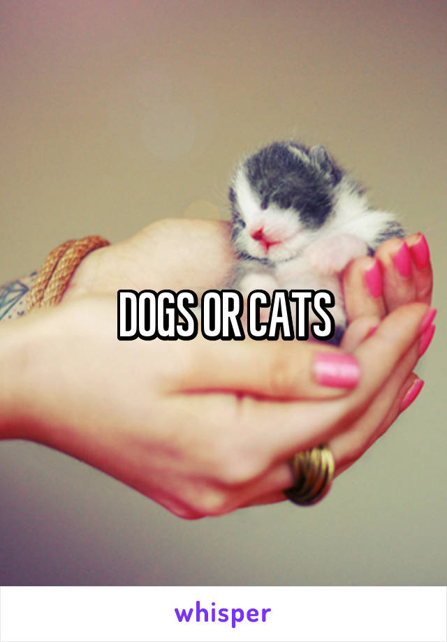 DOGS OR CATS