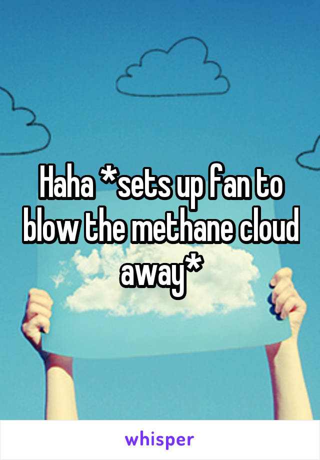 Haha *sets up fan to blow the methane cloud away*