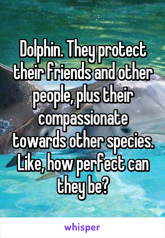 Dolphin. They protect their friends and other people, plus their compassionate towards other species. Like, how perfect can they be?