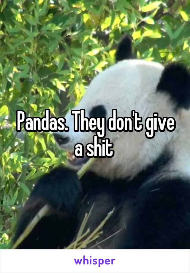 Pandas. They don't give a shit 