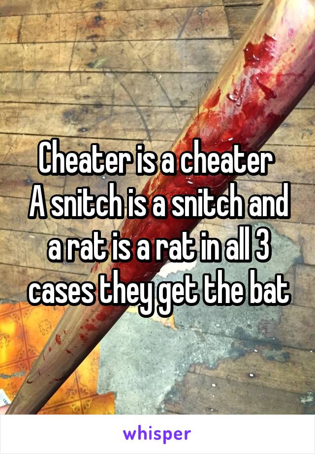 Cheater is a cheater 
A snitch is a snitch and a rat is a rat in all 3 cases they get the bat
