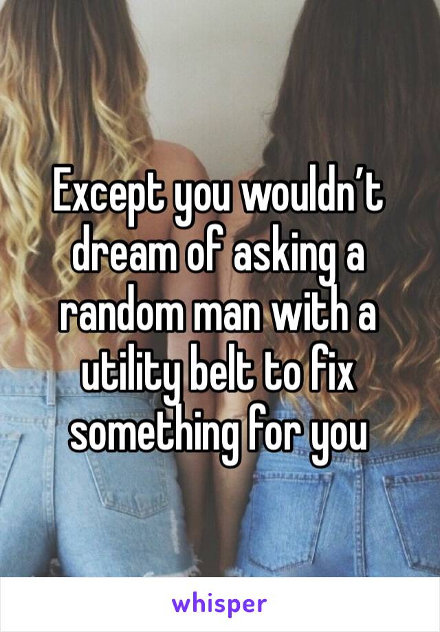 Except you wouldn’t dream of asking a random man with a utility belt to fix something for you