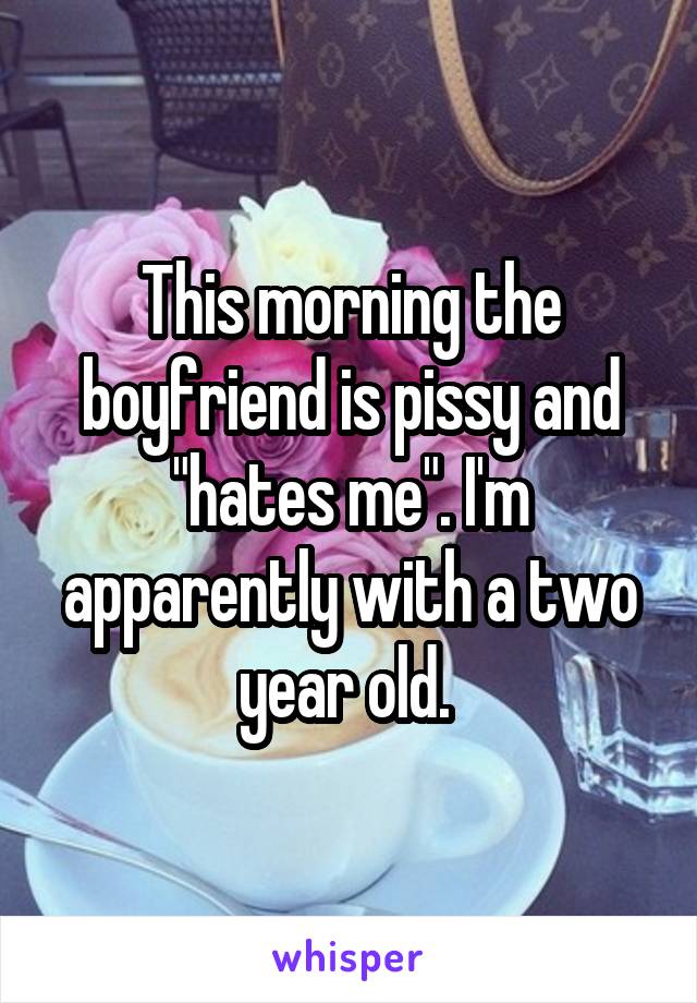 This morning the boyfriend is pissy and "hates me". I'm apparently with a two year old. 