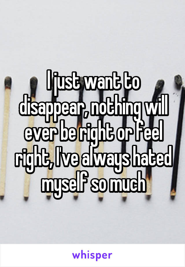 I just want to disappear, nothing will ever be right or feel right, I've always hated myself so much