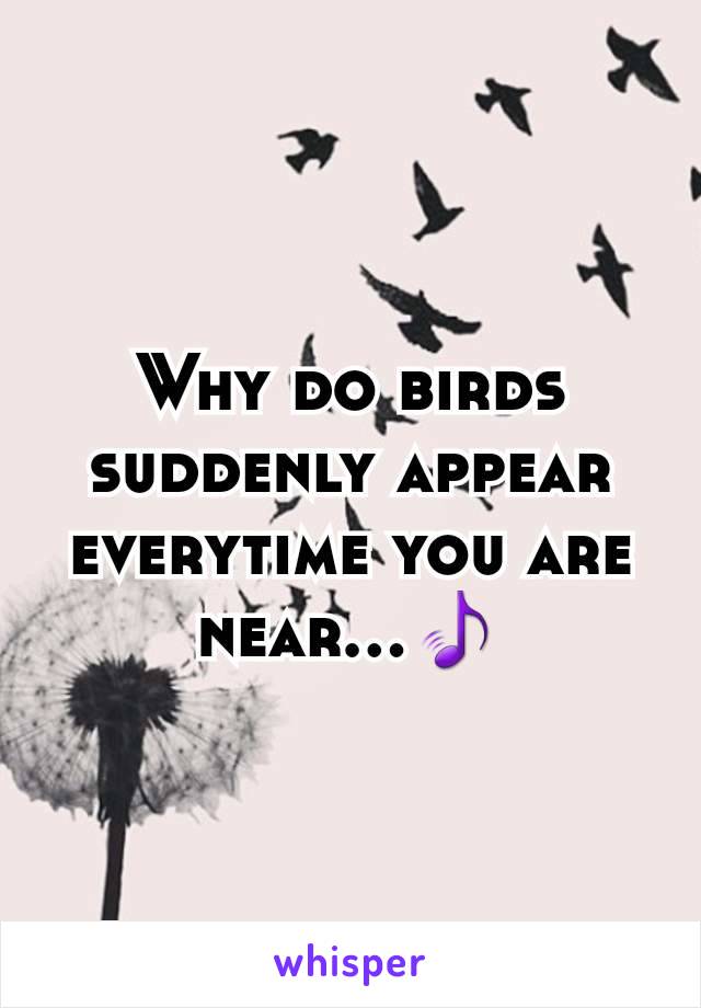 Why do birds suddenly appear everytime you are near...🎵