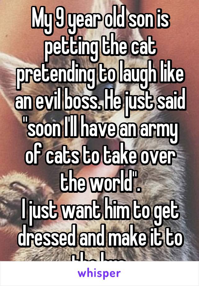 My 9 year old son is petting the cat pretending to laugh like an evil boss. He just said "soon I'll have an army of cats to take over the world".
I just want him to get dressed and make it to the bus.