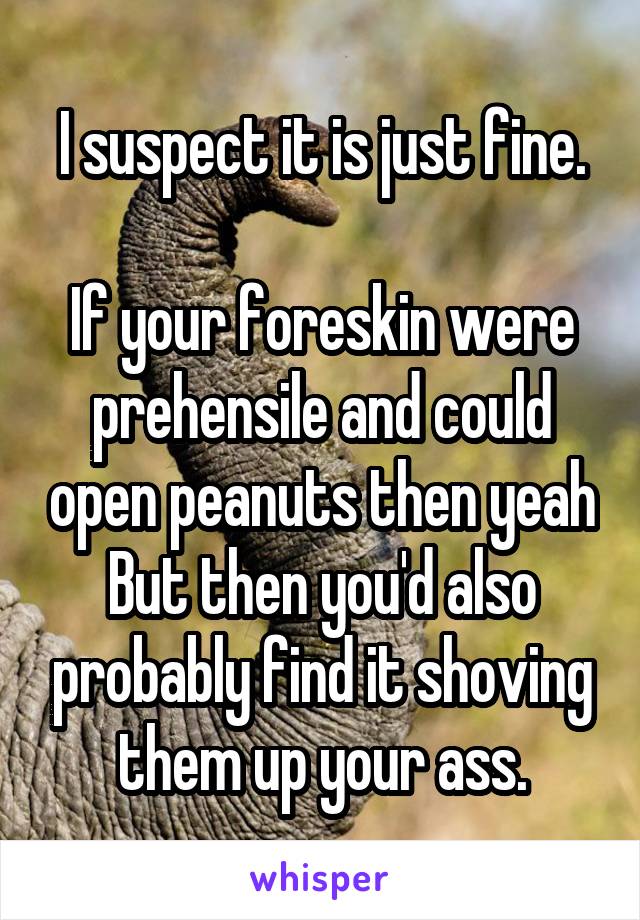 I suspect it is just fine.

If your foreskin were prehensile and could open peanuts then yeah
But then you'd also probably find it shoving them up your ass.