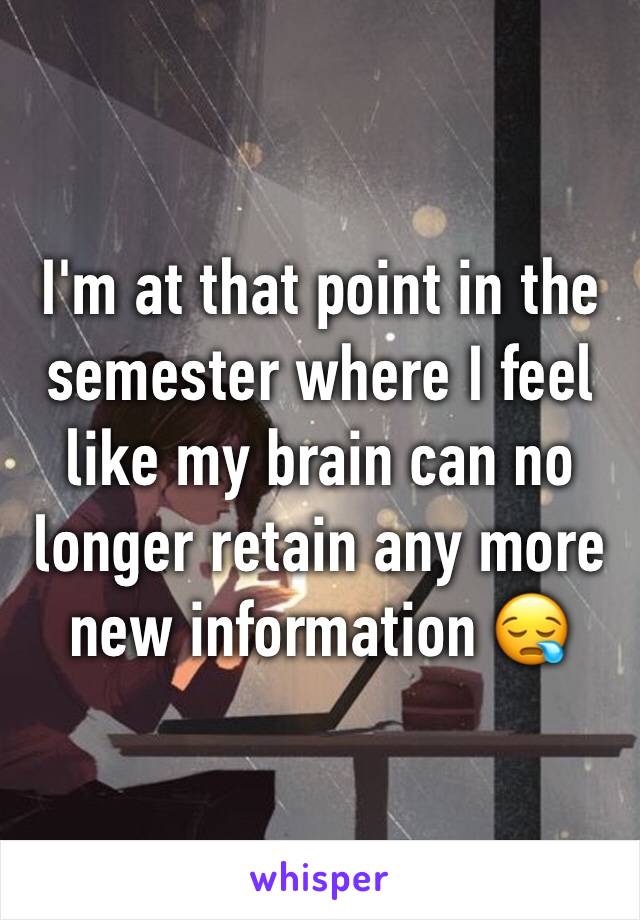 I'm at that point in the semester where I feel like my brain can no longer retain any more new information 😪
