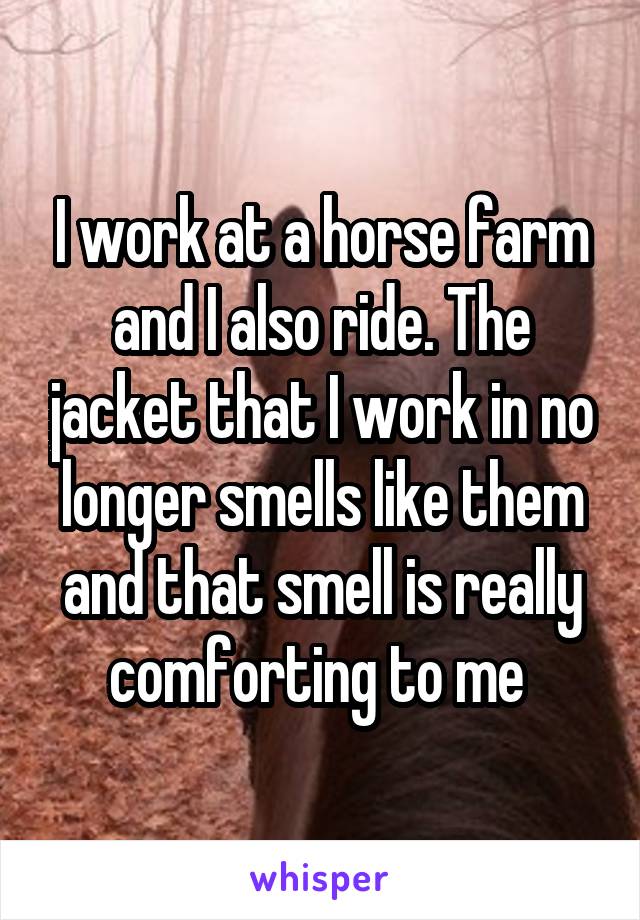 I work at a horse farm and I also ride. The jacket that I work in no longer smells like them and that smell is really comforting to me 