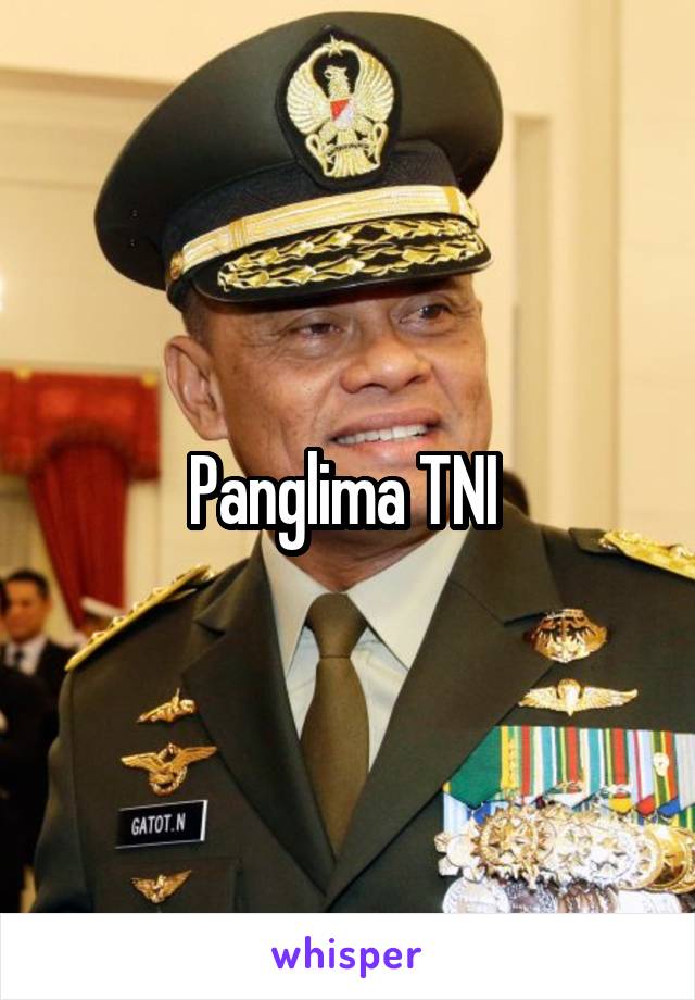 Panglima TNI 