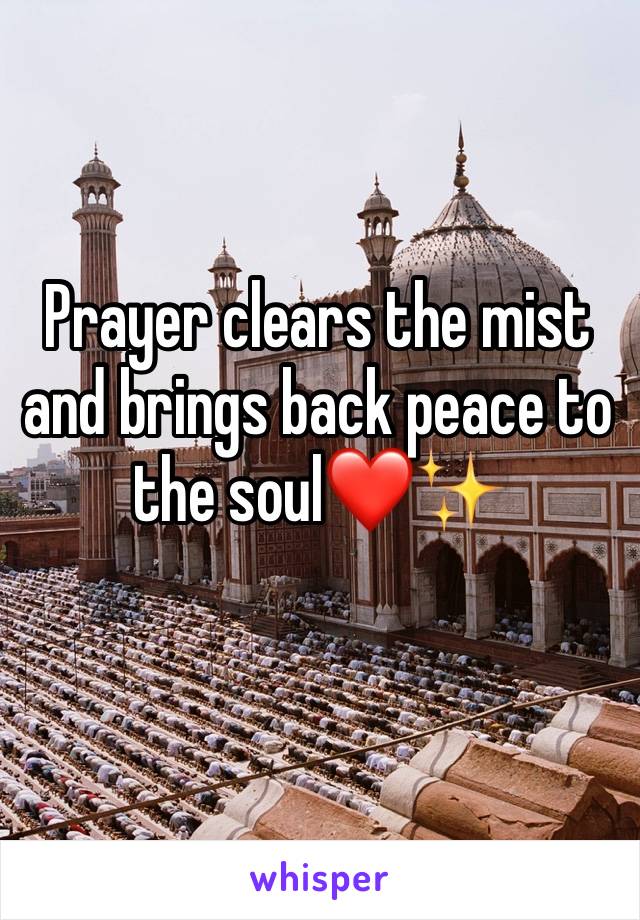 Prayer clears the mist and brings back peace to the soul❤️✨