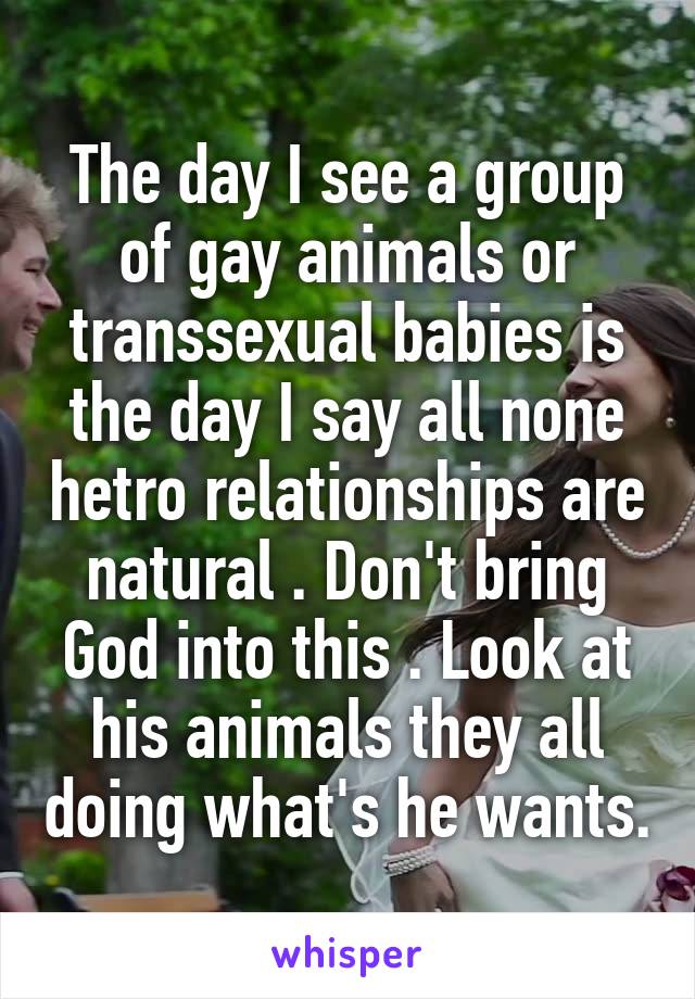 The day I see a group of gay animals or transsexual babies is the day I say all none hetro relationships are natural . Don't bring God into this . Look at his animals they all doing what's he wants.