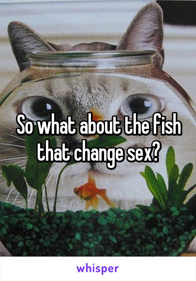 So what about the fish that change sex?