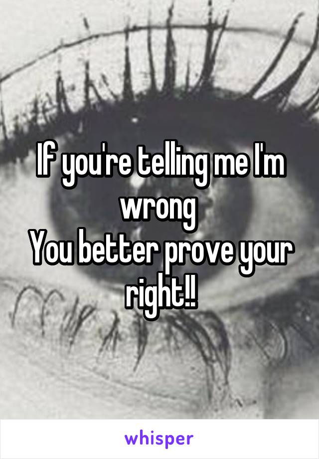 If you're telling me I'm wrong 
You better prove your right!!