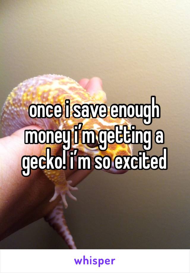 once i save enough money i’m getting a gecko! i’m so excited 